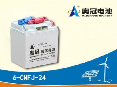 奥冠蓄电池6-CNFJ-24