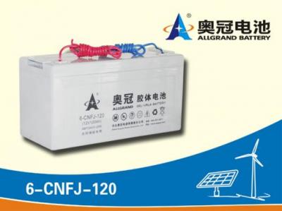奥冠蓄电池6-CNFJ-120