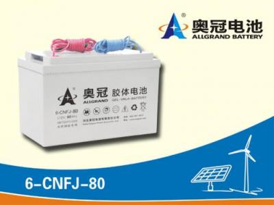奥冠蓄电池6-CNFJ-80